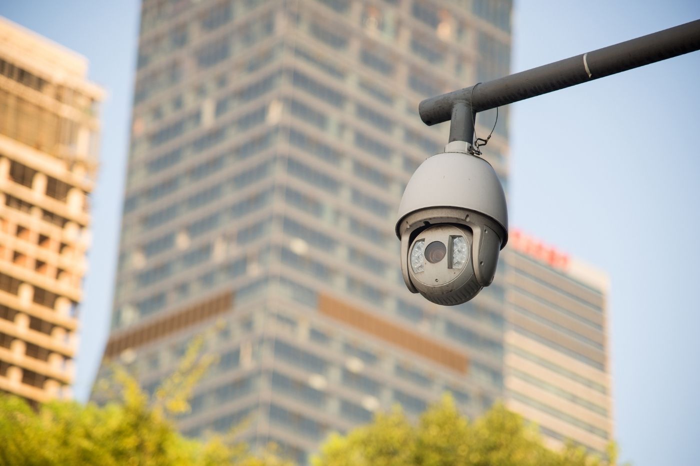 PTZ Cameras