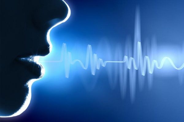 Voice Recognition